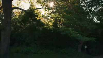 They ran home so fast - Loving Highsmith