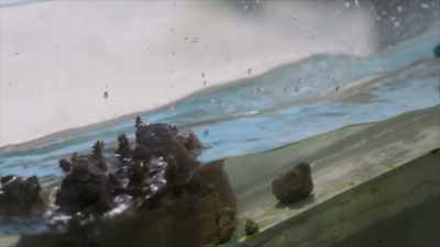They reduce wave energy
on average by 97%. - A Brief History of the Future