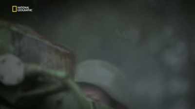 They were relatively well-armed. - Hitler's Last Stand