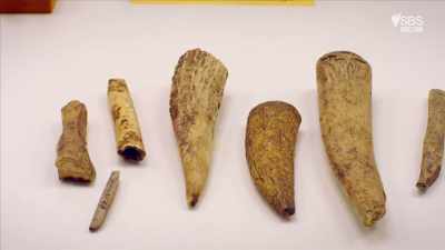 They revealed a Bronze Age culture - Curse of the Ancients with Alice Roberts