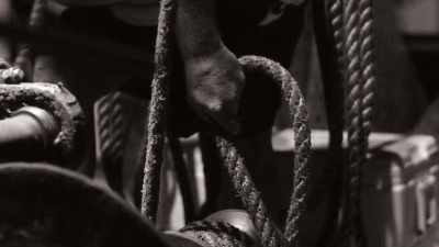 - They run out of rope - The UnBelievable with Dan Aykroyd