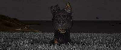 They rushed him
to the emergency room - Isle of Dogs
