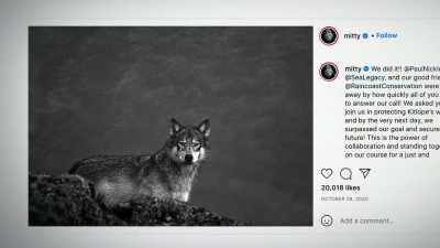 They said, "If we don't
want people to hunt wolves, - Photographer