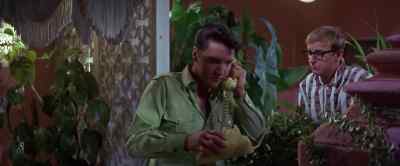 - They said your line wasn't working.
- It hasn't had a chance. - Girl Happy