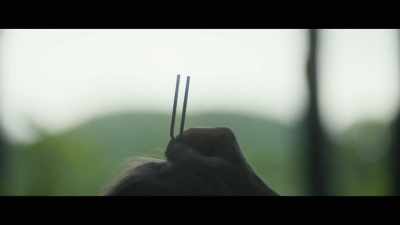 They said that we should tune
our mind to that frequency. - Heaven's Gate: The Cult of Cults