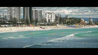 They said, "Yes,"
as long as we surf - Envoy: Shark Cull