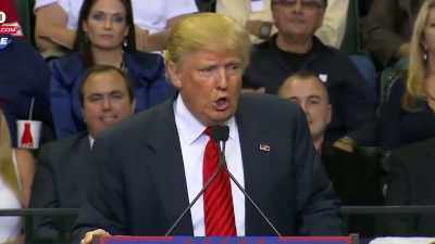 They say, Donald,
you don't really mean - Trump: The Art of the Insult
