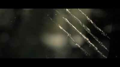 They were scratching
in the same places over and over. - The Silence