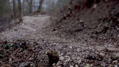 THEY SEARCH ALL THE RAVINES, - Chandra Levy: An American Murder Mystery