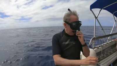 "They search on." - Secrets of the Whales