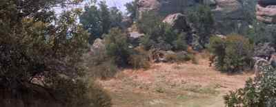 They seem to be gathering
in that thicket down there. - World Without End