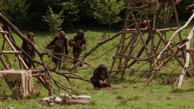 They seem to be Pithecanthropus, - The Primevals