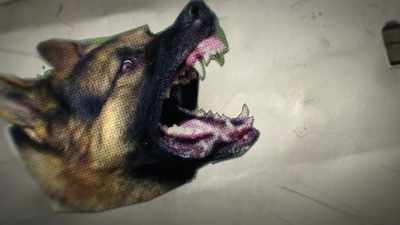 They sent this card with this bag
over this German Shepherd's head - Happy Happy Joy Joy: The Ren & Stimpy Story