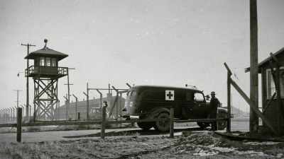 They were sent to Tulelake,
which became famous - Trees and Other Entanglements