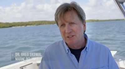 They were shocked not
only by the event, - Shark Attack Files