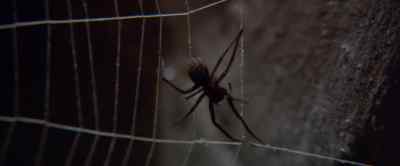 They shouldn't have
tied me up like this. - Dracula