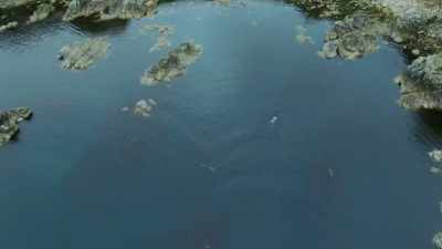 They sight a target, - Wild Ways of the Vikings