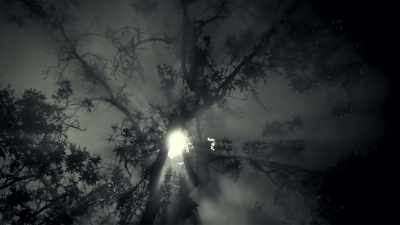  They were so brilliant, you
 could see the light from it, - The Interdimensional Connection