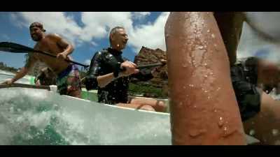 "They spend every waking moment
out here on the waves." - The World According to Jeff Goldblum