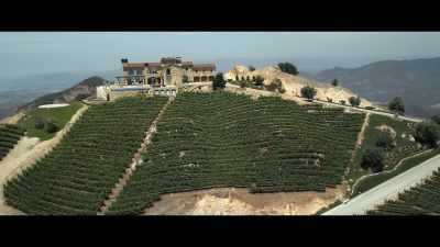 They started
an audit on my foundation. - Operation Varsity Blues: The College Admissions Scandal