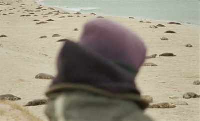 They started to descend
on the dunes, near the tip, - Geographies of Solitude