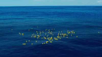They started their travels
a thousand miles off Alaska. - Blue Planet II