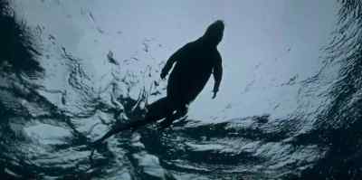 They swim in the sea. - Evolution Earth