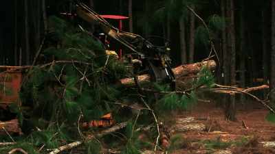 THEY TAKE AWAY
MASSIVE FORESTS, - Before the Flood