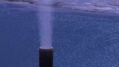 THEY TAKE UP ABOUT A
THIRD OF THE CO2 THAT WE - Before the Flood