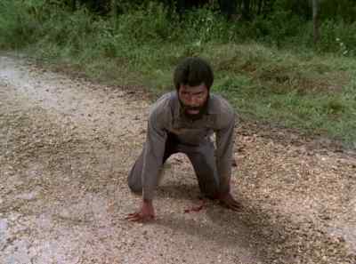 They tell Albert
make you crawl first. - The Autobiography of Miss Jane Pittman