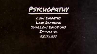 They tend to be very impulsive
and reckless, narcissistic, - The Lesson Is Murder