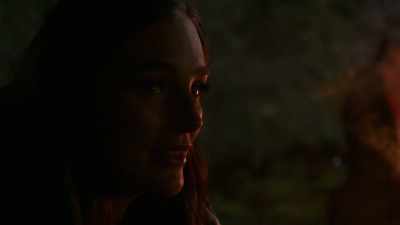 They were terrorized, tortured. - Amityville Scarecrow 2