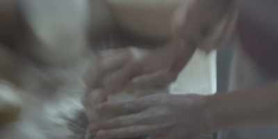 They think it's not real love. - Amulet