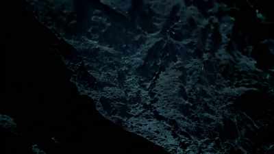 They think, oh light,
instinctively fly towards it. - One Strange Rock