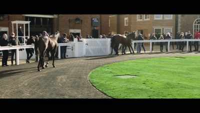 They think they
have found a likely candidate, - Horsepower