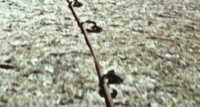 They had to drill bolts into the
granite and pull themselves up. - Free Solo