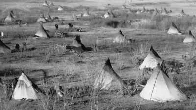 They had to stay,
and without buffalo meat - The American Buffalo