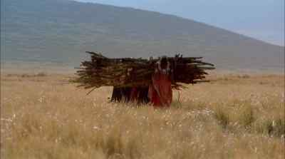 They. Too, follow a nomadic existence - Africa: The Serengeti