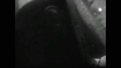 They took every tape, - Zappa