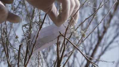 They tried to call that person - Buried In The Backyard