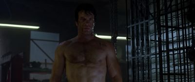 They tried to make me talk - The Punisher