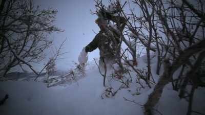 They turn white
in the wintertime, - Life Below Zero: Next Generation
