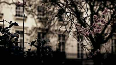 They understood each
other's circumstances. - The Murder of Sandra Rivett