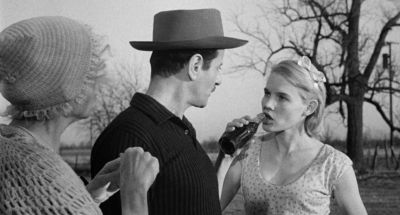 They wander a little and then go away - Baby Doll