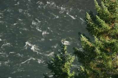 They want it to be what it was
before the dams, - Artifishal