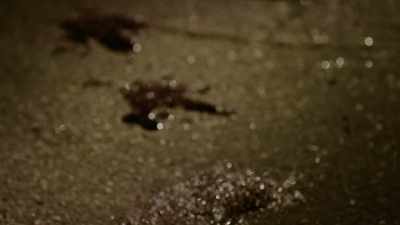 They wanted to talk to him
about the criminal damage - 35 Serial Killers the World Wants to Forget