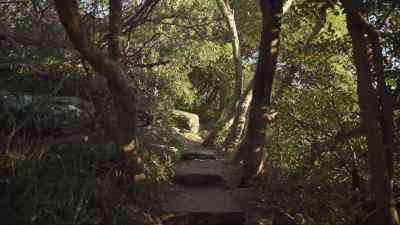 They went to North Head with Scott
White directing them where to go. - Never Let Him Go