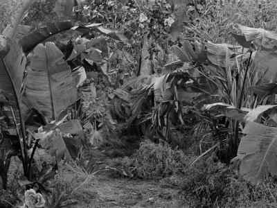 They went to the spring
before they went to bed - Gilligan's Island