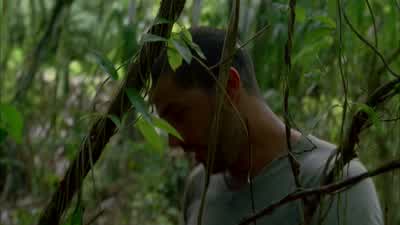 They went this way. - Lost