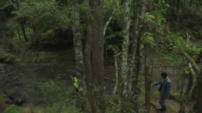 They
were flung this far? - The Brokenwood Mysteries